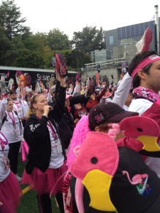 Susan G Komen Walk Preparation