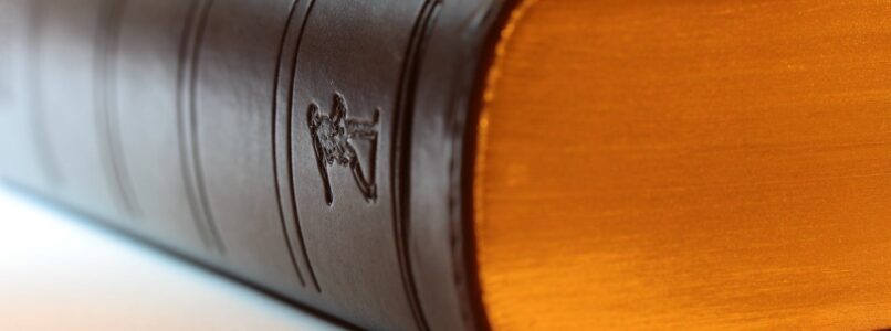 employment law