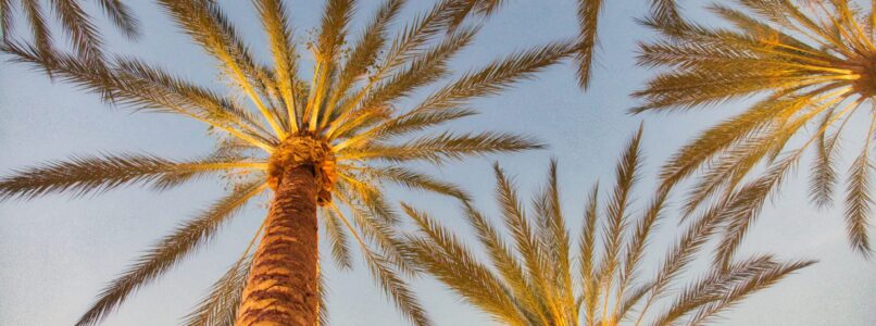 Travel Nurse in California