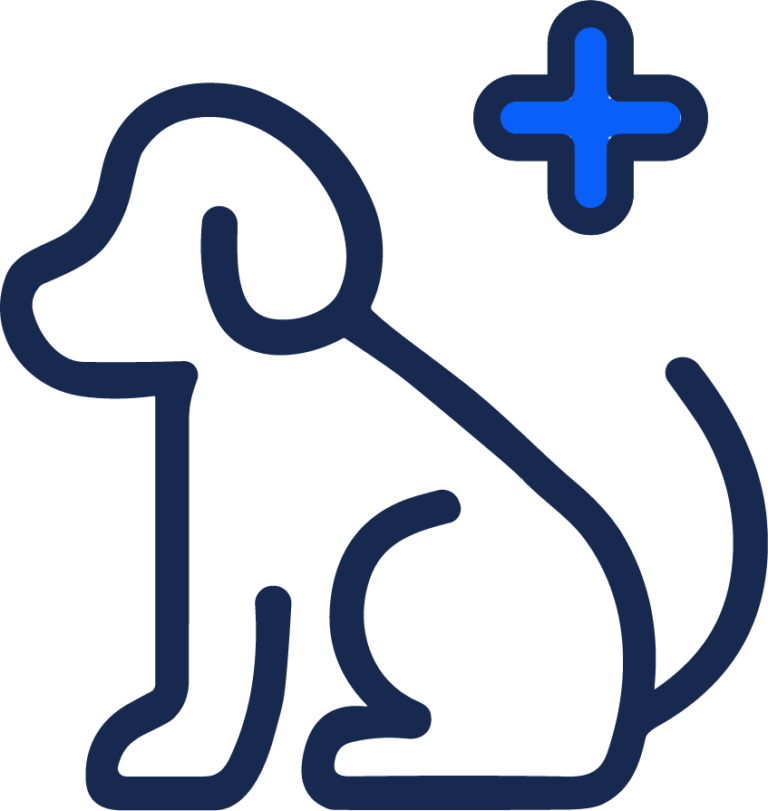 Asset 12